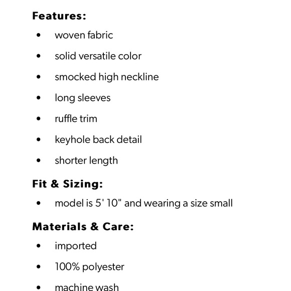 High Neck Ruffle Trim Blouse - Picture 3 of 4